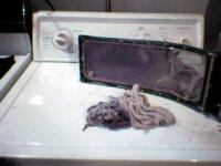Dryer Cleaning